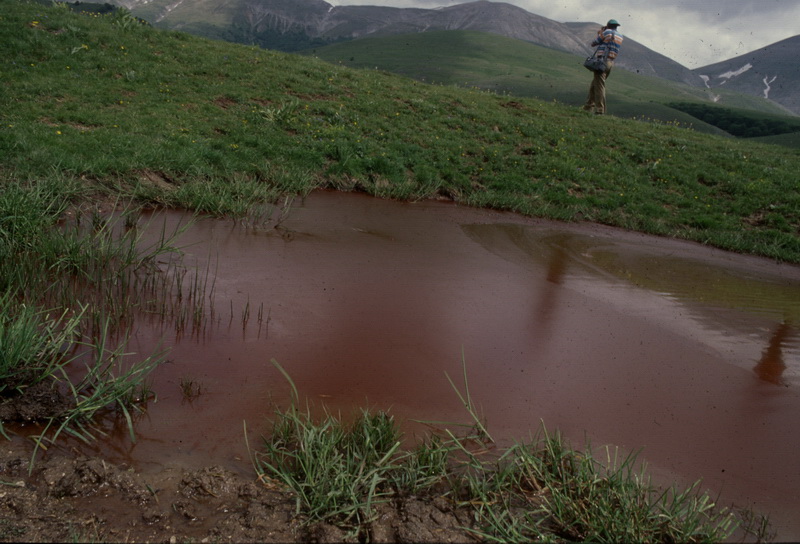 in alta quota nei miei Sibillini